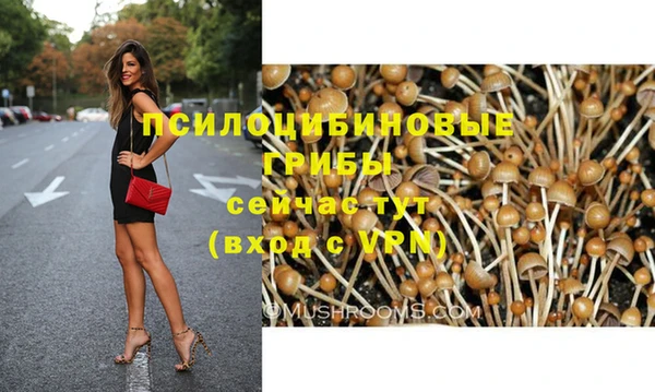 прущие крисы Алзамай