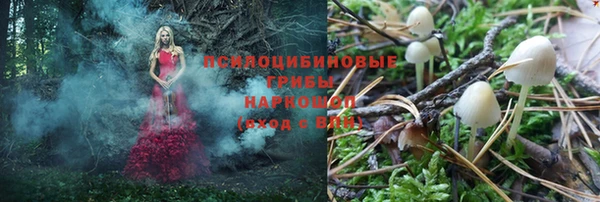 первитин Алексеевка