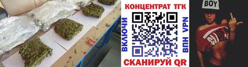 дарнет шоп  Ковылкино  ТГК гашишное масло 