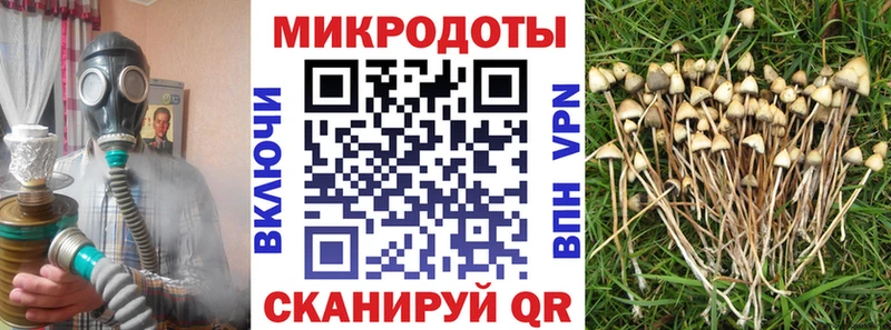 Галлюциногенные грибы GOLDEN TEACHER  купить закладку  Ковылкино 